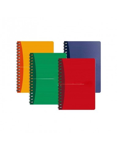 Cahier MINTRA à spirales petits carreaux 100p 21x29,7 cm