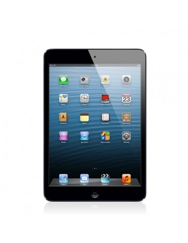 Apple iPad mini Wi-Fi 16 Go Noir