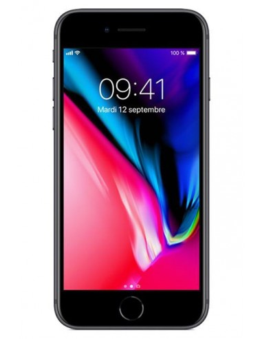 iPhone 8 2017 /Gris /4.7Pouce /2 Go /64 Go /12 Mpx