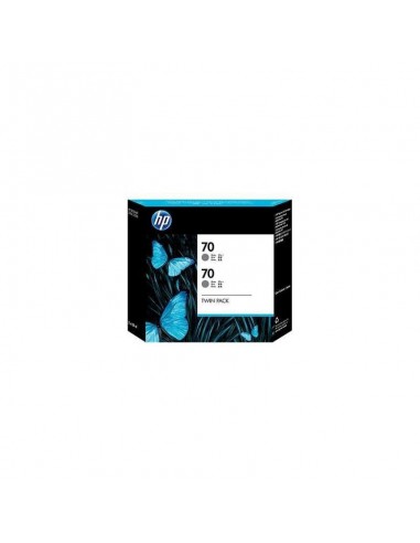 HP 70 2-pack 130-ml Gray Ink Cartridges (CB341A)