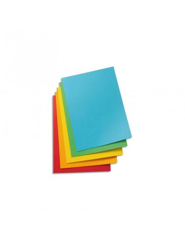 100 CHEMISES CARTONNÉES - 120G - COLORIS AU CHOIX