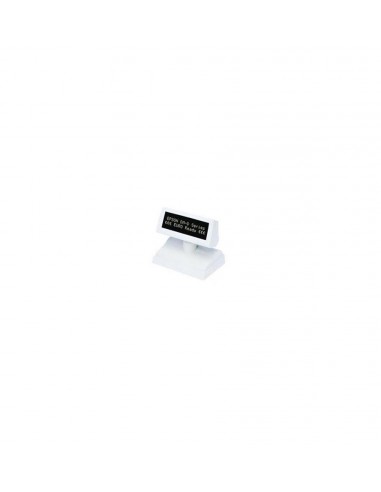 EPSON Afficheur sur pied DM-D110 USB (A61B133EAWU)