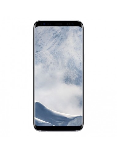 Samsung Galaxy S8 Gris