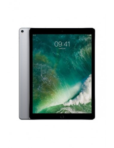 iPad Pro 12,9 /Gris /Wi-Fi + 4 G /4 Go /512 Go /12 Mpx