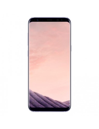 Samsung Galaxy S8 Plus Gris