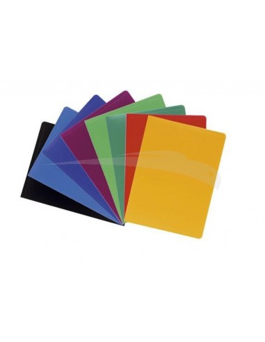 PORTES-VUES - EXACOMPTA - 80 Vues A4 - Lot de 12 Porte-vues