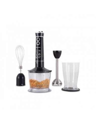 MIXEUR PLONGEANT 3 EN 1 BEPER