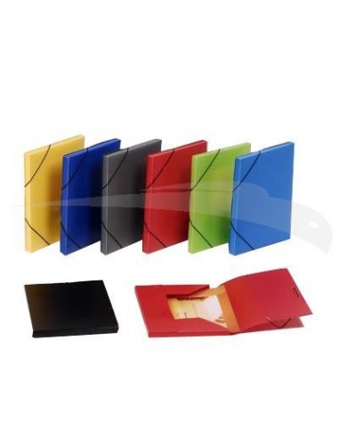 CHEMISES A RABATS EN POLYPRO - SICLA - DOS 04 - A4 -Lot de 20 chemises
