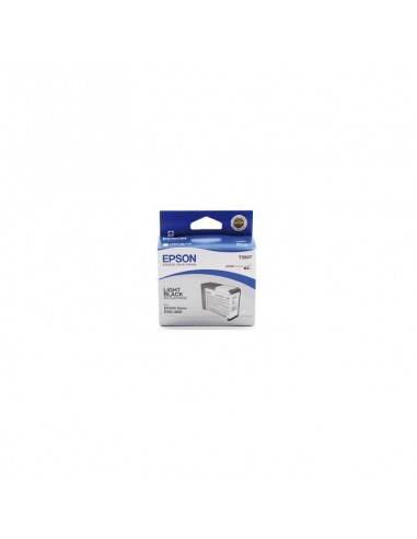 Encre Pigment Gris SP 3800/3880 (80ml)