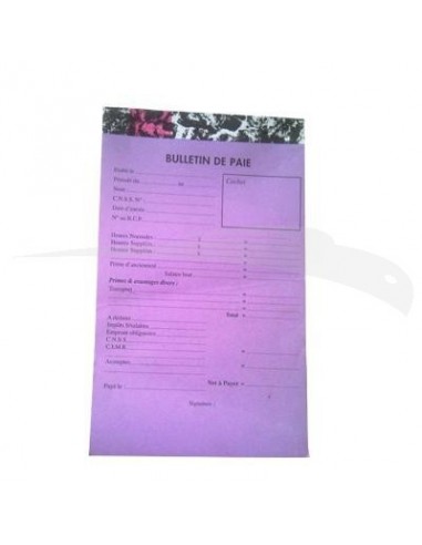 MANIFOLDS \" BULLETIN DE PAIE \" - 100 FEUILLES - 19 x 12,5 cm - Lot de 5 manifolds