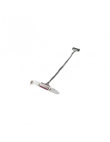HP Adaptateur port parallele