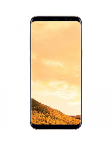 Samsung Galaxy S8 Plus Gold