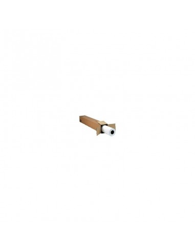 Papier couché à fort grammage HP-1 067 mm x 30,5 m (42 pouces x 100 pi) (C6569C)