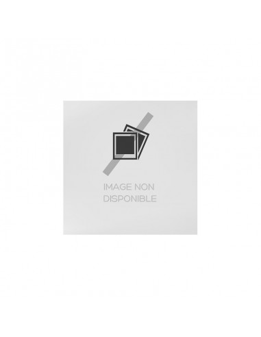 Adaptateur HP DVI vers VGA (VE053AA)