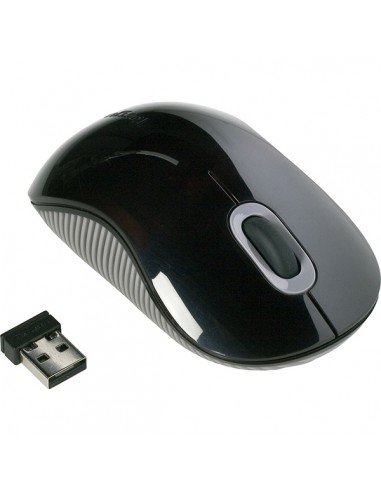 Mini Souris sans fil Noir