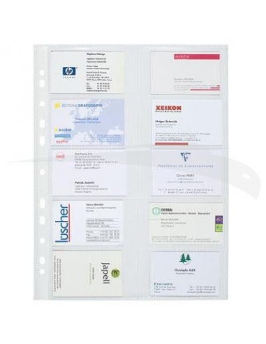 10 POCHETTES PERFOREES - EXACOMPTA - cartes de visite- A4